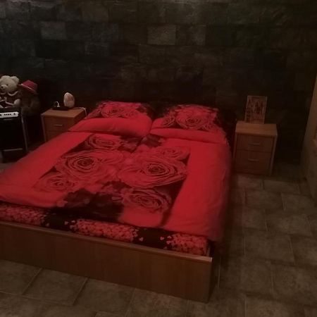 Vila Barrandov プラハ エクステリア 写真