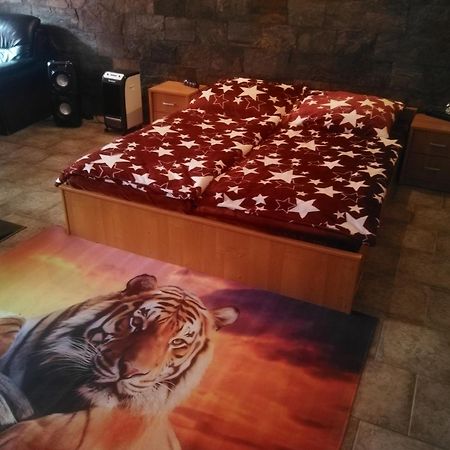 Vila Barrandov プラハ エクステリア 写真