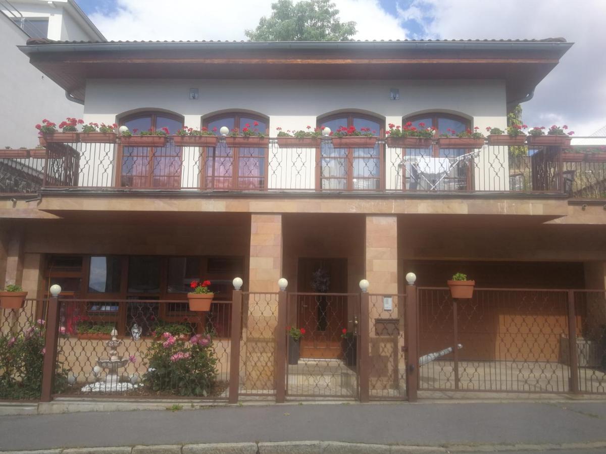 Vila Barrandov プラハ エクステリア 写真